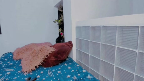 ally_cantero Model Profile - TsRecs